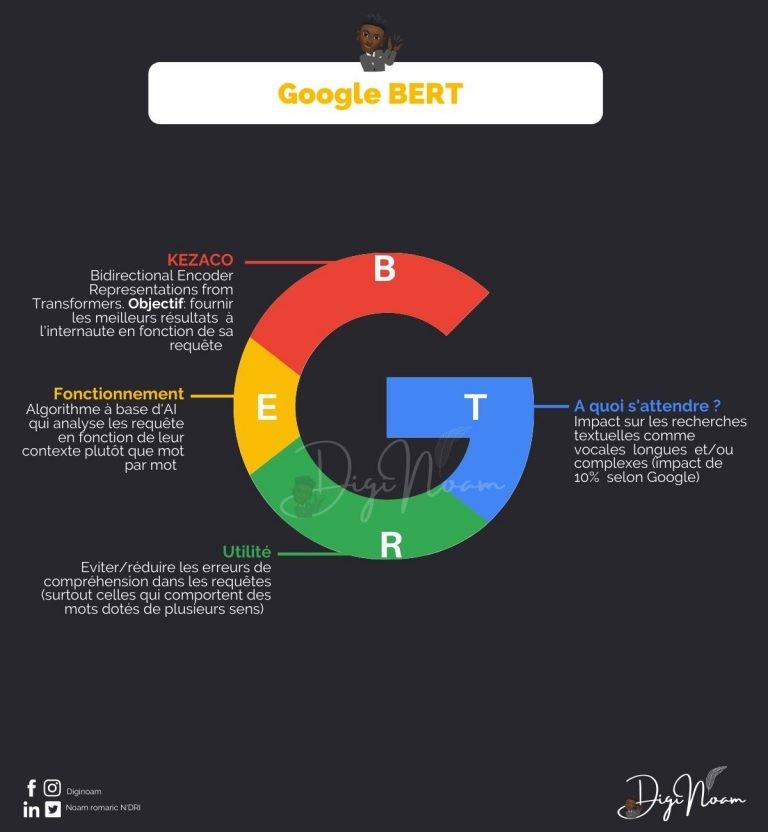 Google BERT par Diginoam